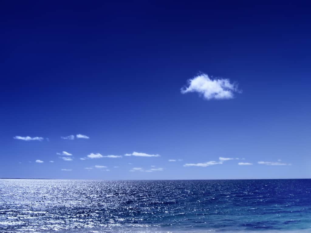orzuelos mar