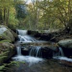 Parques naturales cerca de barcelona