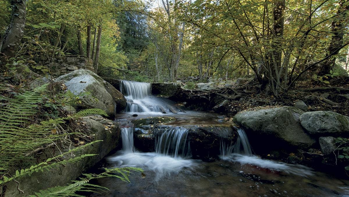 Parques naturales cerca de barcelona