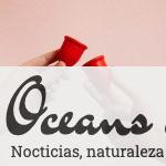 copa menstrual