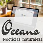 posicionar en google
