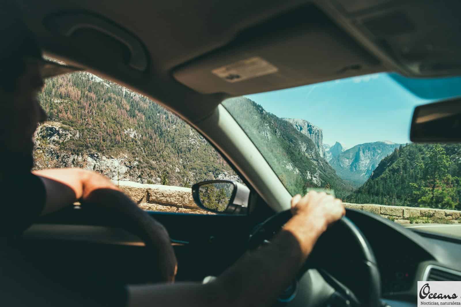 canje permiso de conducir