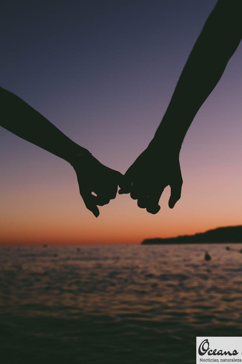 cogerse de la mano