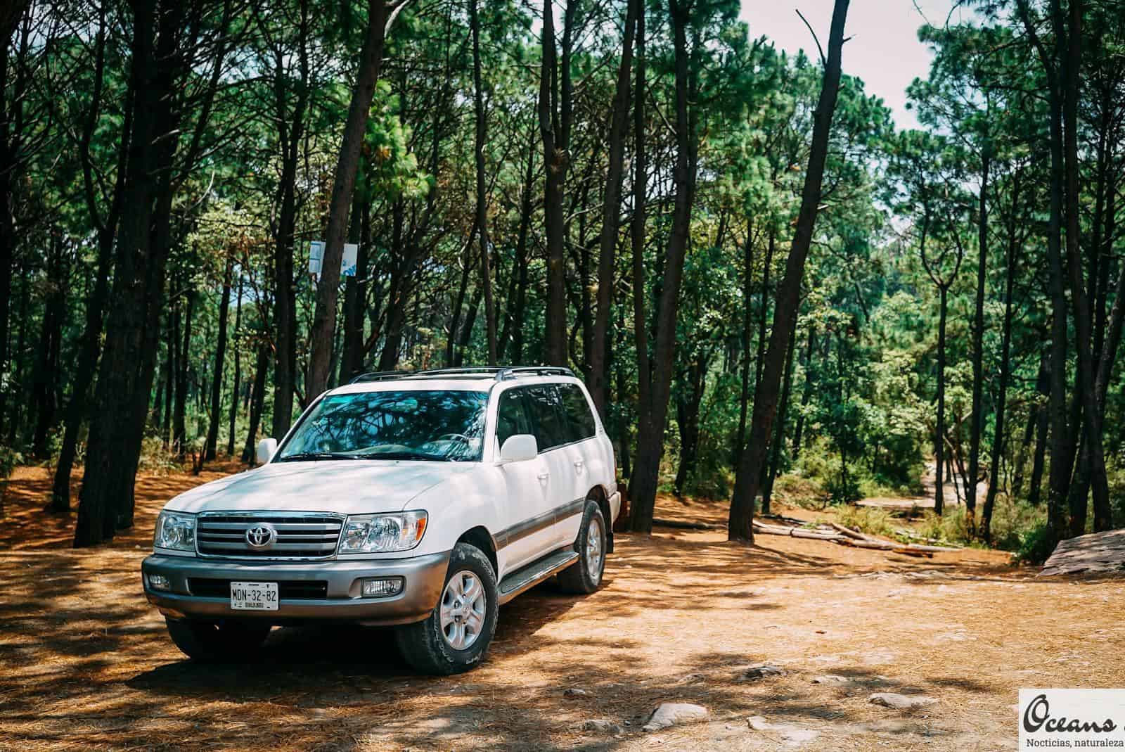 White Toyota Land Cruiser Parked In Forest
