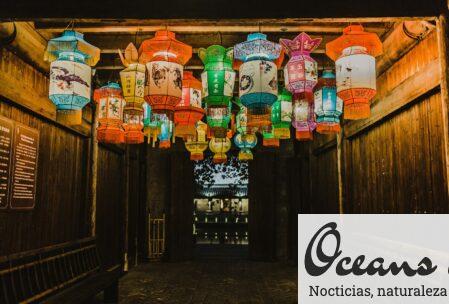 photo of assorted-color Chinese lanterns inside room
