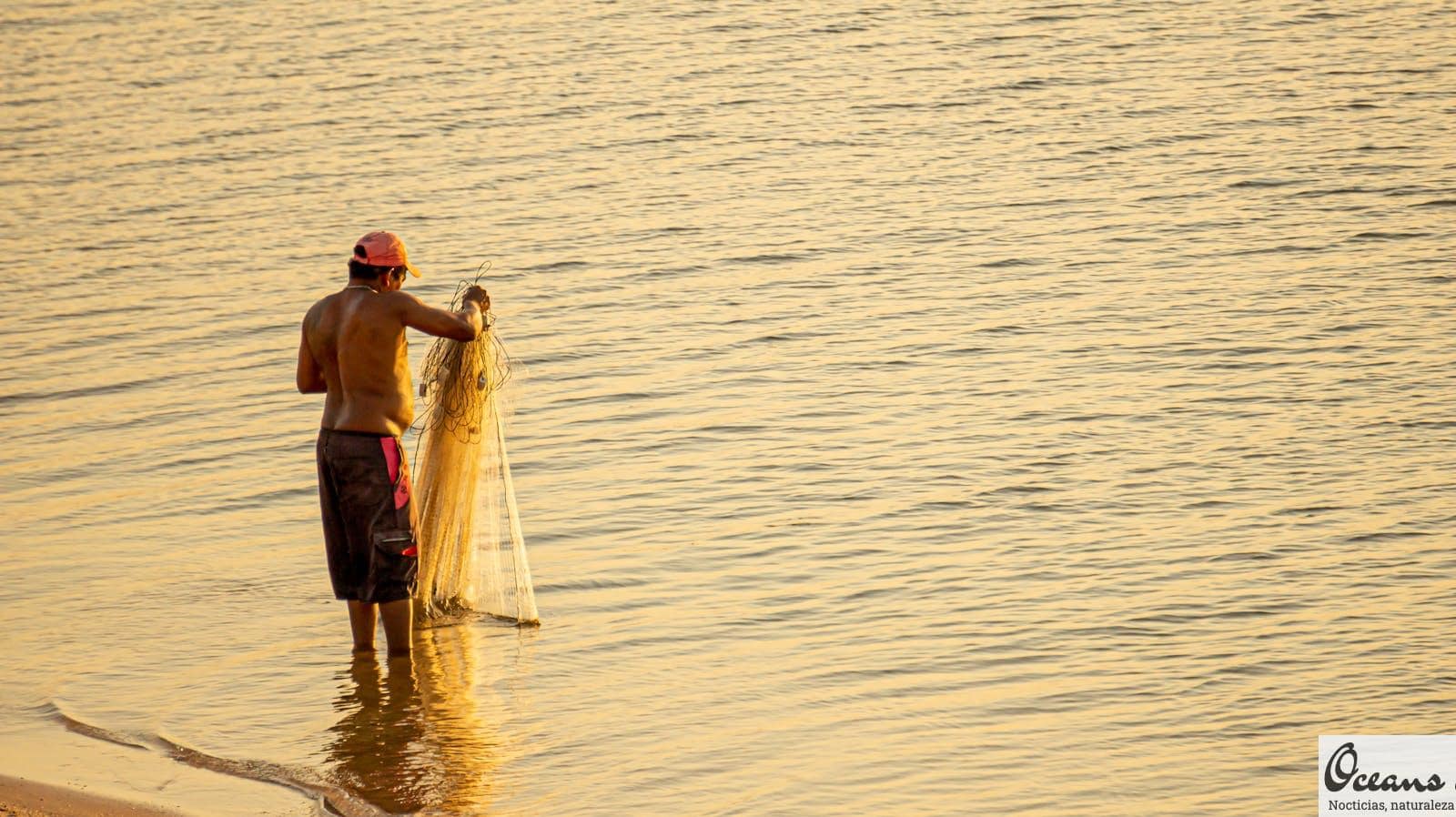 ¿Qué diferencia hay entre señuelos de pesca y cebos?