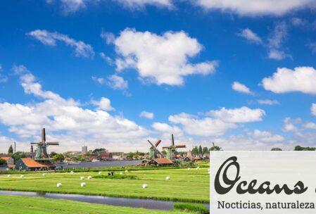 Picturesque view of traditional windmills and farmland in rural Amsterdam under a clear blue sky.