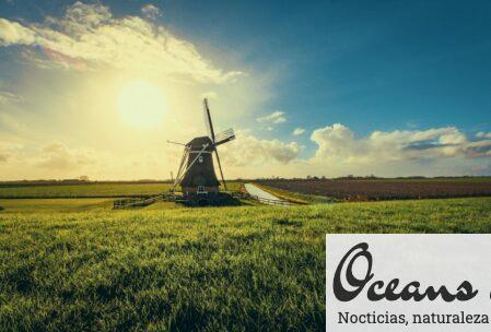 Beautiful windmill in Uithuizermeeden, Netherlands, surrounded by fields at sunset.