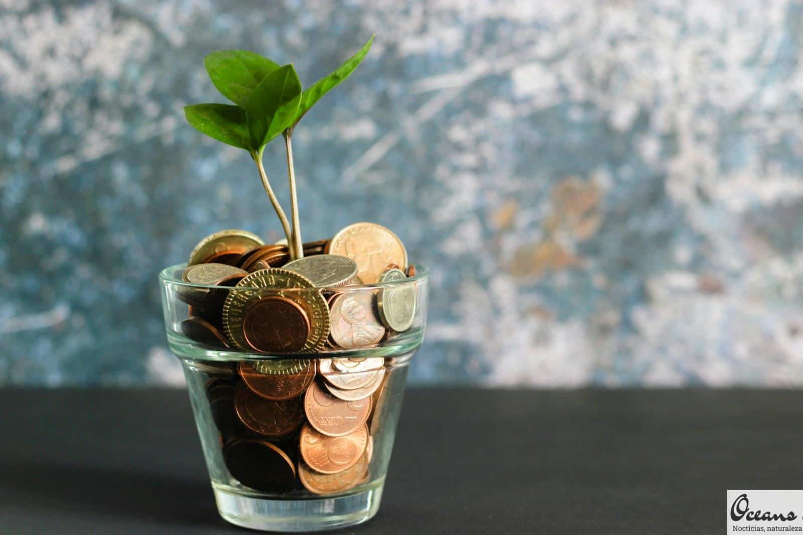 Por qué elegir un máster online en contabilidad y finanzas