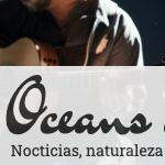Que musicos elegir para tu evento