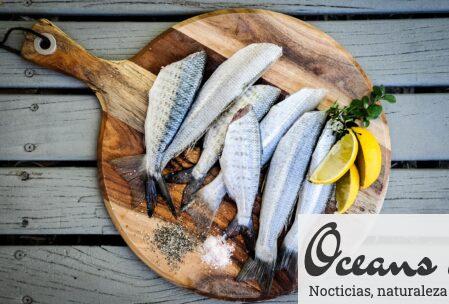 headless fishes with sliced of lemons on brown wooden chopping board