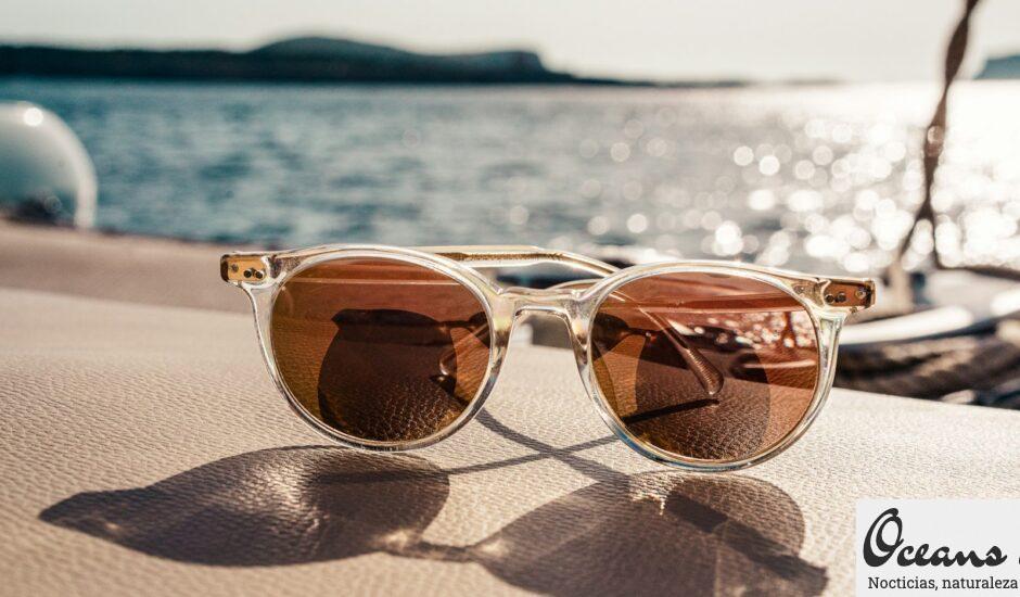 white framed brown lens sunglasses