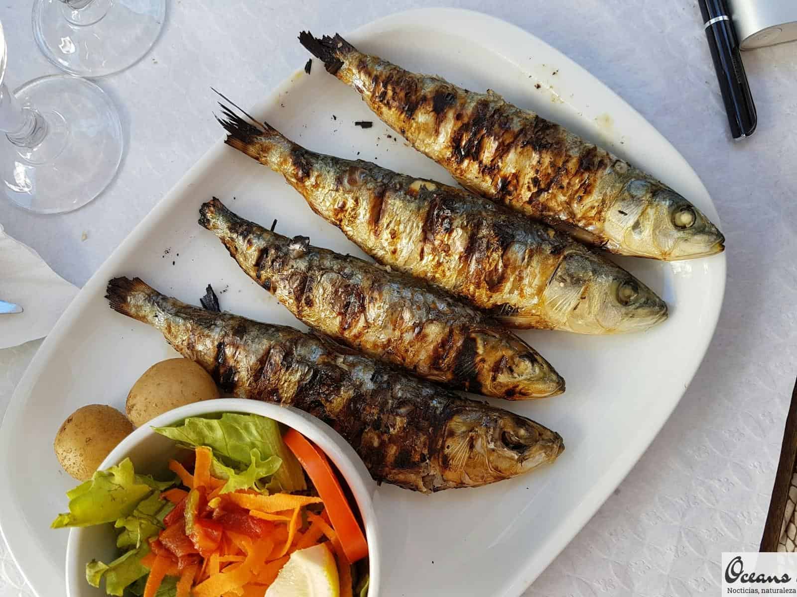 grilled fish with vegetable salad on white ceramic plate
