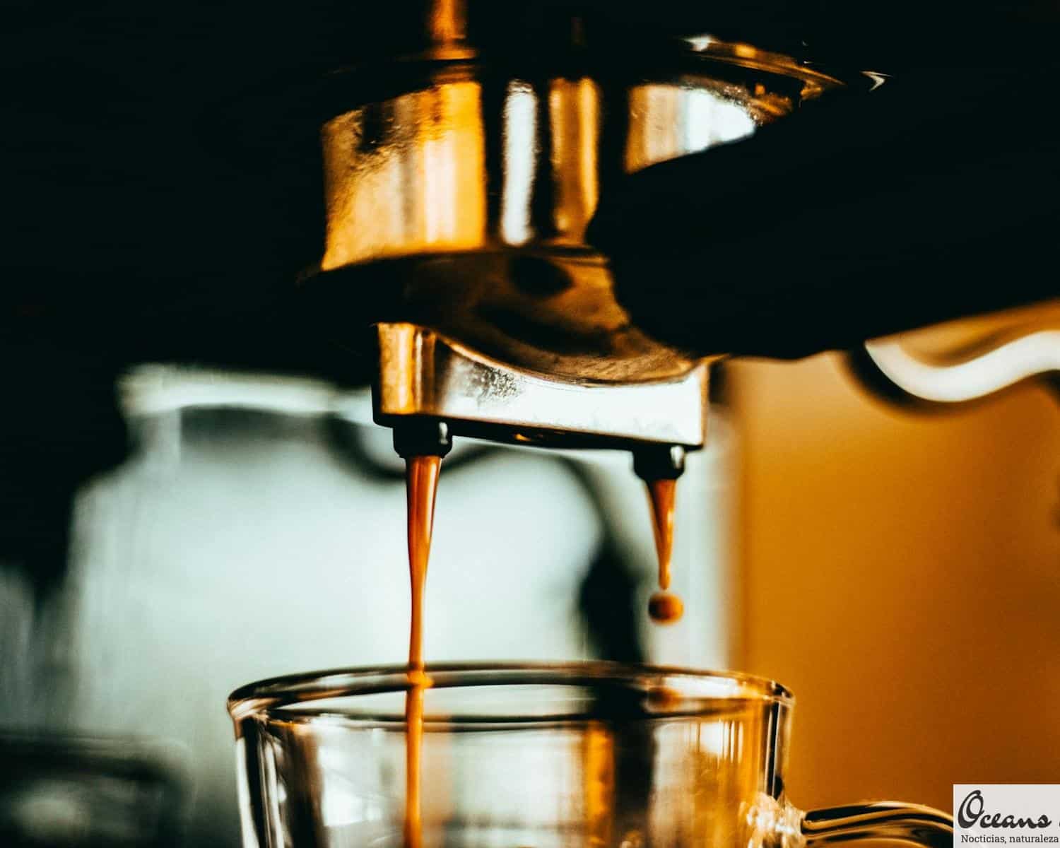 Top 10 cafeteras para tu hogar