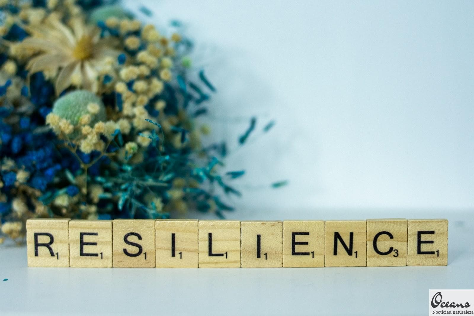 La importancia de la resiliencia: Cómo aprender a adaptarte a los cambios