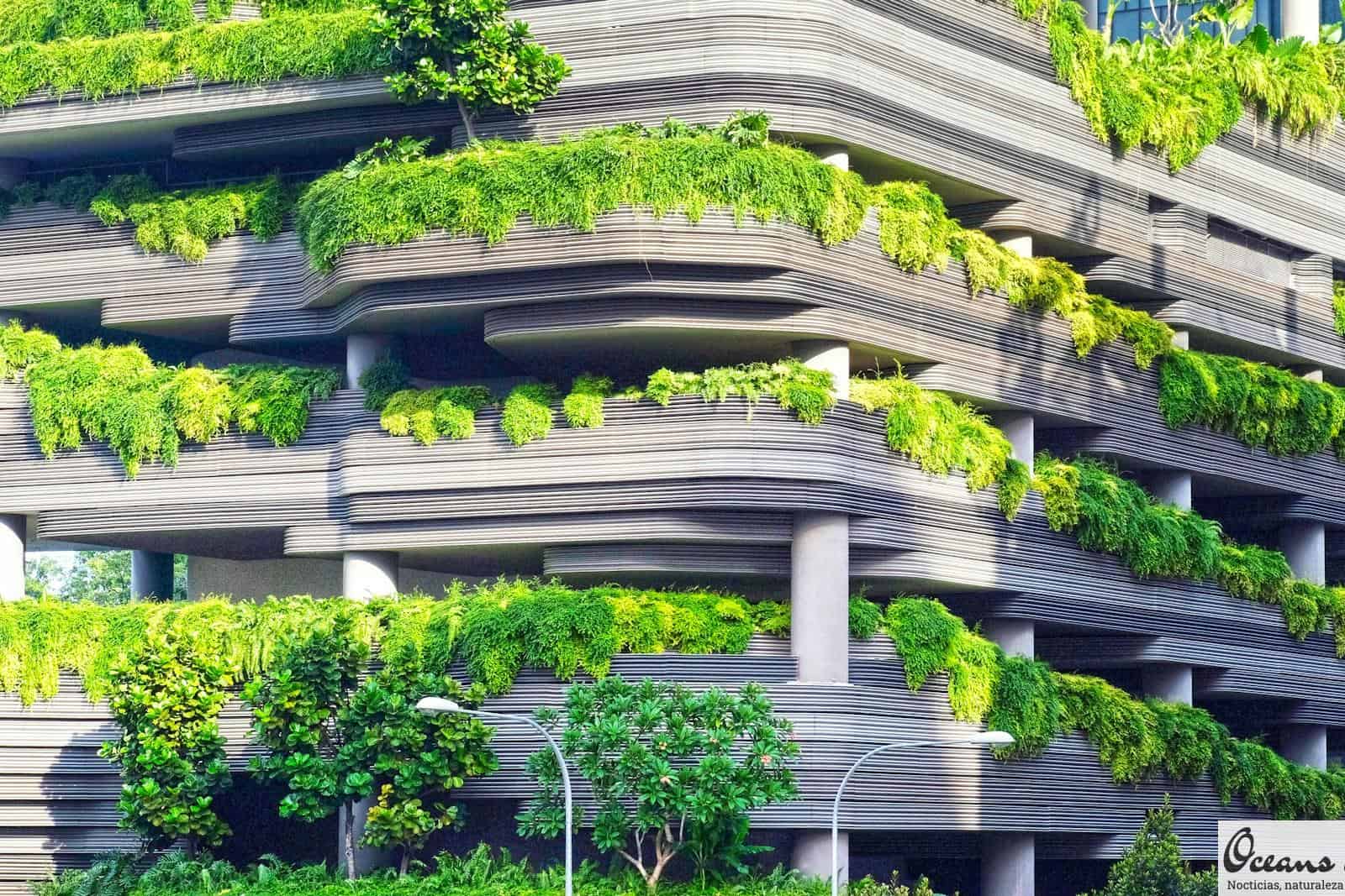 gray concrete building covered trees