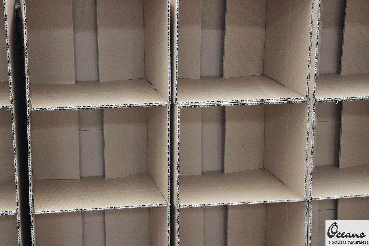 contenedores cajas merch